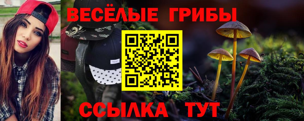 Псилоцибиновые грибы прущие грибы  Вход с VPN  Галлюциногенные грибы прущие грибы  Карпинск 